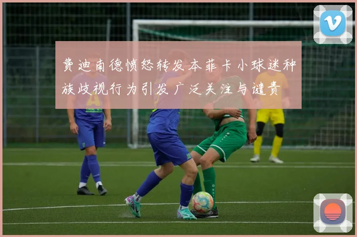 费迪南德愤怒转发本菲卡小球迷种族歧视行为引发广泛关注与谴责