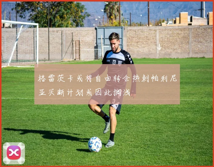 格雷茨卡或将自由转会热刺帕利尼亚买断计划或因此搁浅