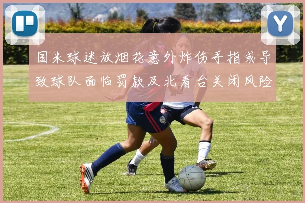 国米球迷放烟花意外炸伤手指或导致球队面临罚款及北看台关闭风险