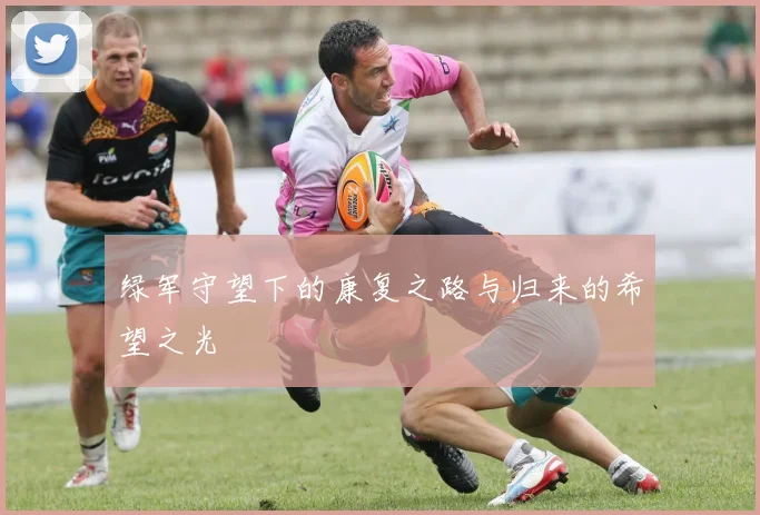 绿军守望下的康复之路与归来的希望之光