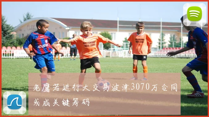 老鹰若进行大交易波津3070万合同或成关键筹码