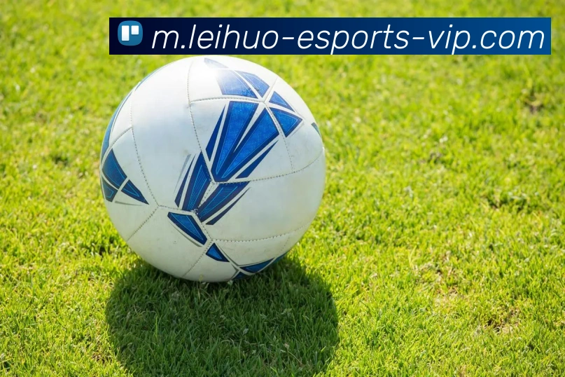 雷火电竞APP 高清赛事图